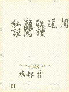 红颜政道周平小说阅读