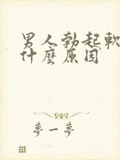 男人勃起软得快什么原因 男人勃起软得快什么原因
