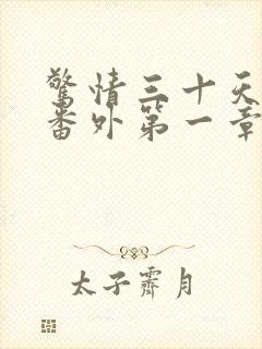 惊情三十天婚后番外第一章