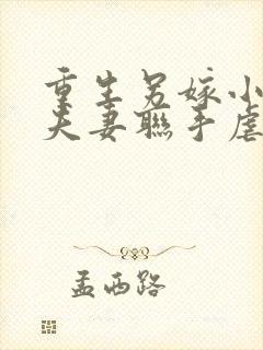 重生另嫁小叔,夫妻联手虐渣免费阅读