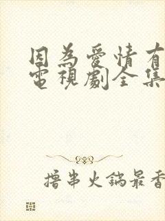 因为爱情有奇缘电视剧全集
