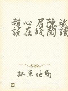 赵心眉陈斌的小说在线阅读全文