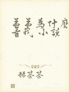 弟弟为什么这样看我 小说