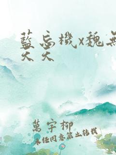 蓝忘机x魏无羡天天