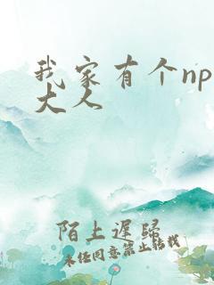 我家有个npc大人