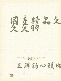 国产精品久久久久久99