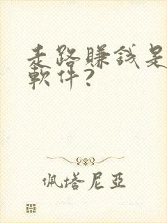 走路赚钱是什么软件?