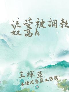 流萤被调教成肉奴高h