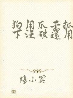 狗用爪子抓了一下没破还用打疫苗吗