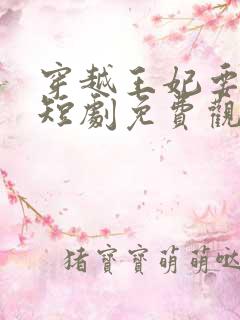 穿越王妃要休夫短剧免费观看全集