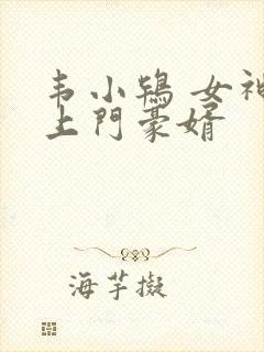 韦小鸨 女神的上门豪婿 韦小鸨 女神的上门豪婿