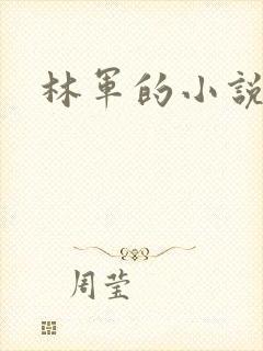 林军的小说 林军的小说