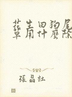 花生田狗尾草稗草用什么除草剂