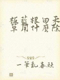 板蓝根田禾本科草用什么除草剂 板蓝根田禾本科草用什么除草剂