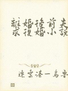 离婚后前夫哭着求复婚小说免费版