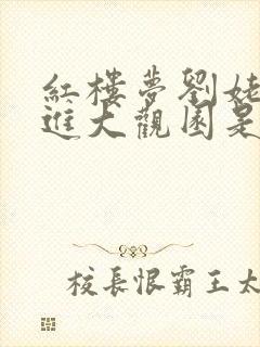 红楼梦刘姥姥二进大观园是第几集