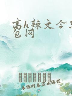 高h辣文合集书包网
