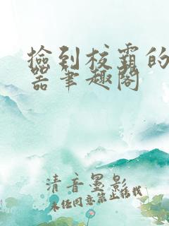 捡到校霸的遥控器笔趣阁