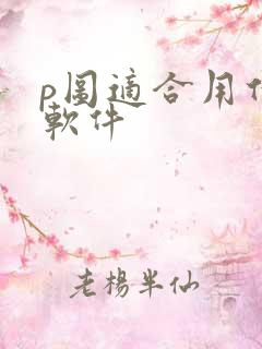 p图适合用什么软件