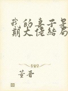 我的妻子是大乘期大佬结局