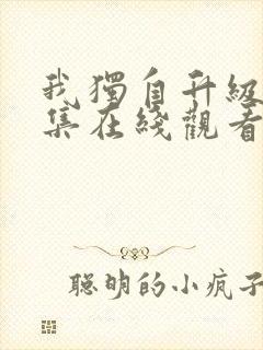 我独自升级12集在线观看
