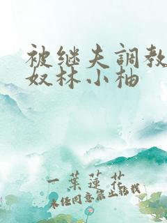 被继夫调教成肉奴林小柚