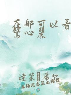 在哪可以看步步惊心丽