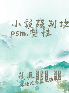 小说强制攻,spsm,双性
