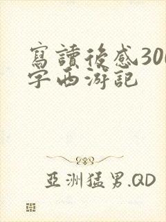 写读后感300字西游记