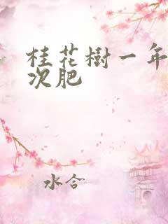 桂花树一年施几次肥
