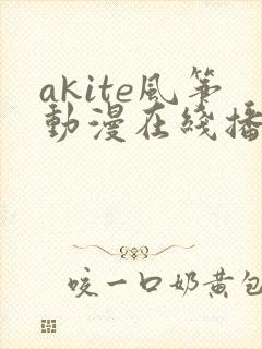 akite风筝动漫在线播放