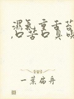 湿气重舌苔厚白,口苦口臭吃什么药
