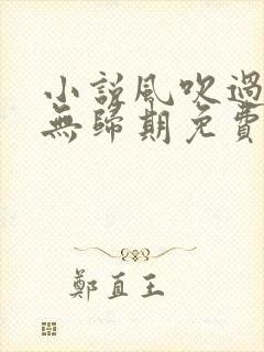 小说风吹过,再无归期免费阅读