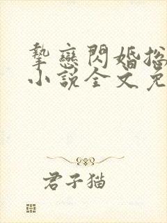挚恋闪婚总裁欢小说全文免费阅读
