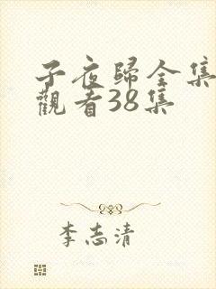 子夜归全集免费观看38集