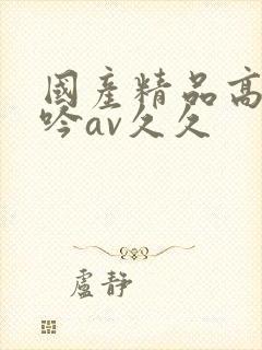 国产精品高潮呻吟av久久