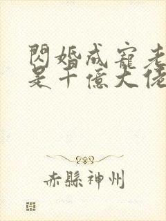 闪婚成宠老公竟是千亿大佬一共多少章