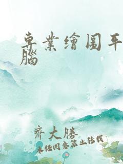 专业绘图平板电脑