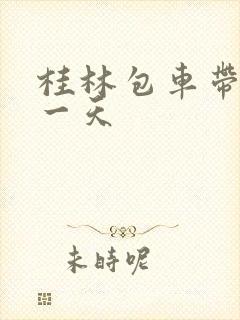 桂林包车带司机一天 桂林包车带司机一天