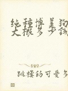纯种博美狗一只大概多少钱