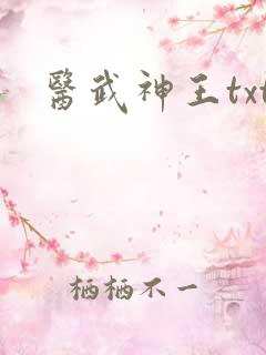 医武神王txt