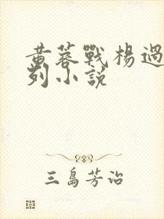 黄蓉战杨过色系列小说