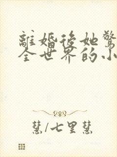 离婚后她惊艳了全世界的小说