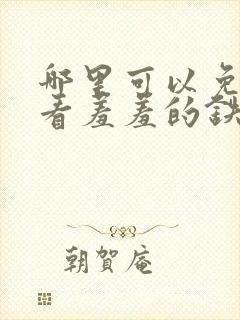 哪里可以免费观看羞羞的铁拳