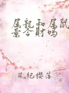 属龙和属鼠做生意合财吗