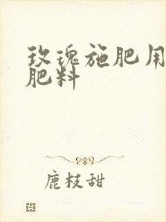 玫瑰施肥用什么肥料