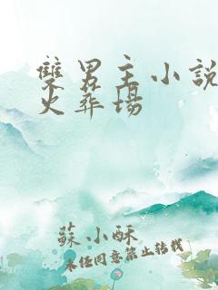 双男主小说追夫火葬场