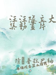汪汪队立大功全集动画片