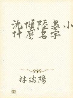 沈倾陆晏小说叫什么名字