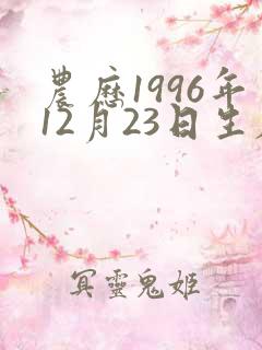 农历1996年12月23日生辰八字 农历1996年12月23日生辰八字